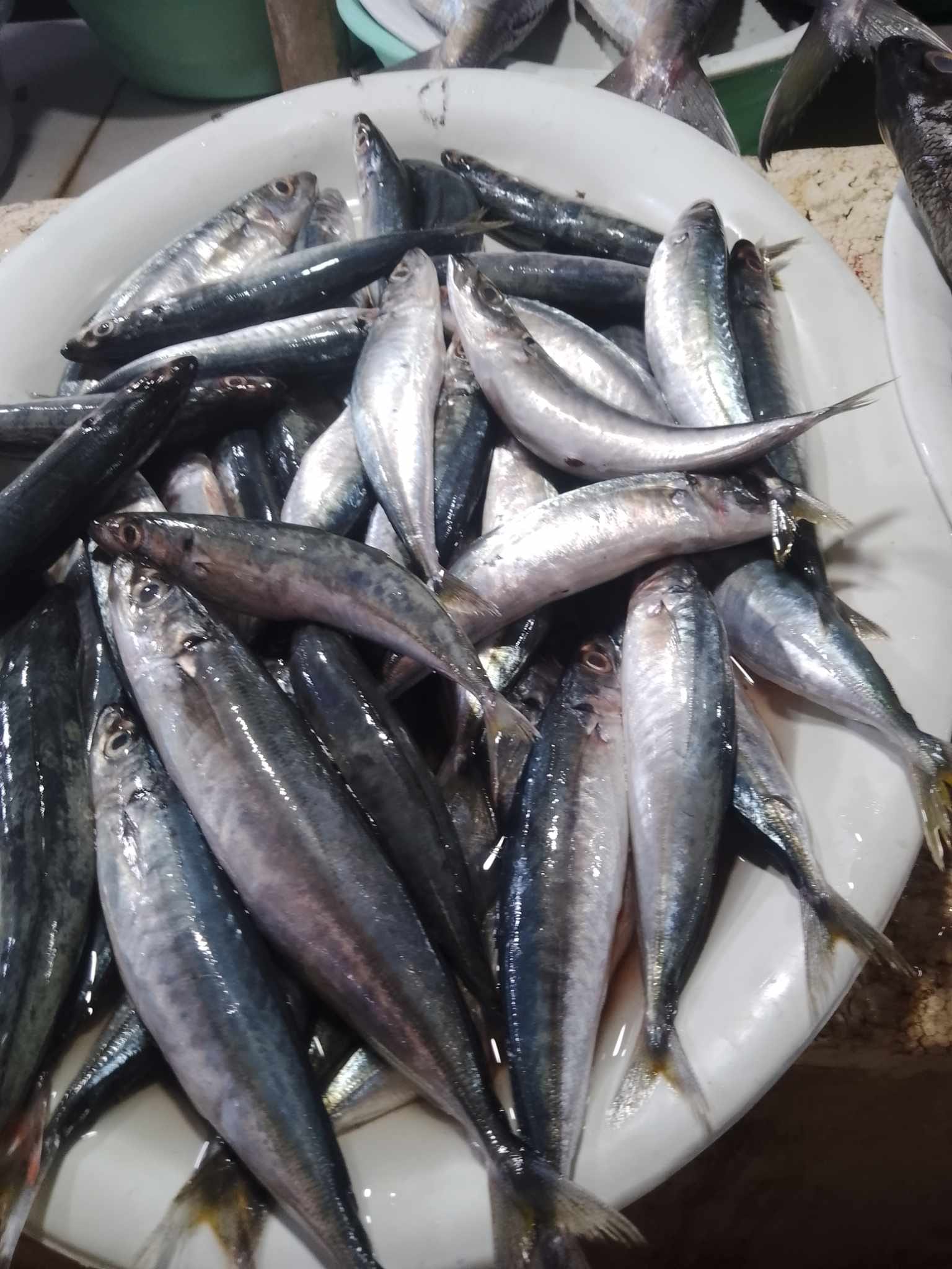 Delada's Fresh Seafoods | Alubijid