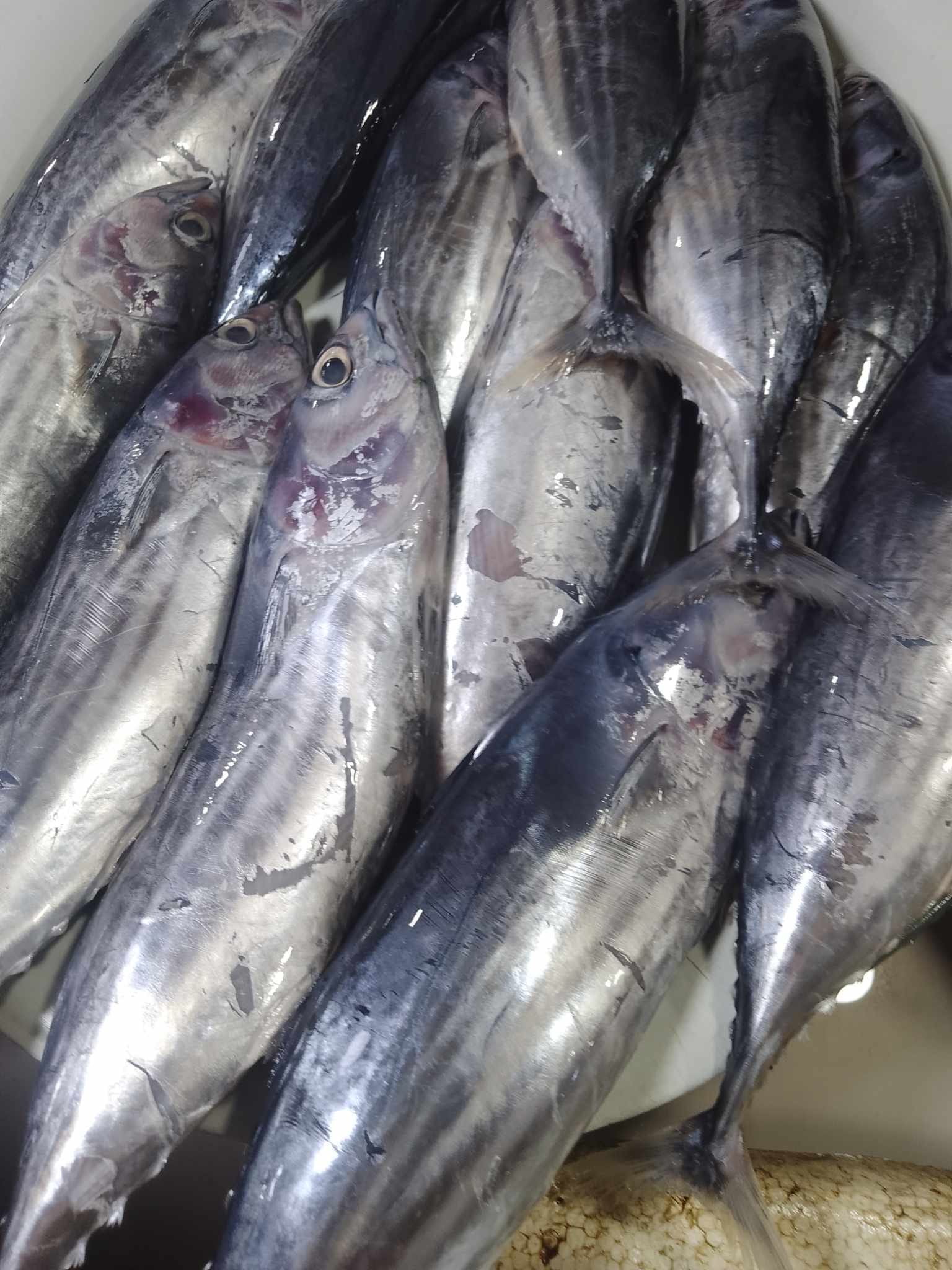 Delada's Fresh Seafoods | Alubijid