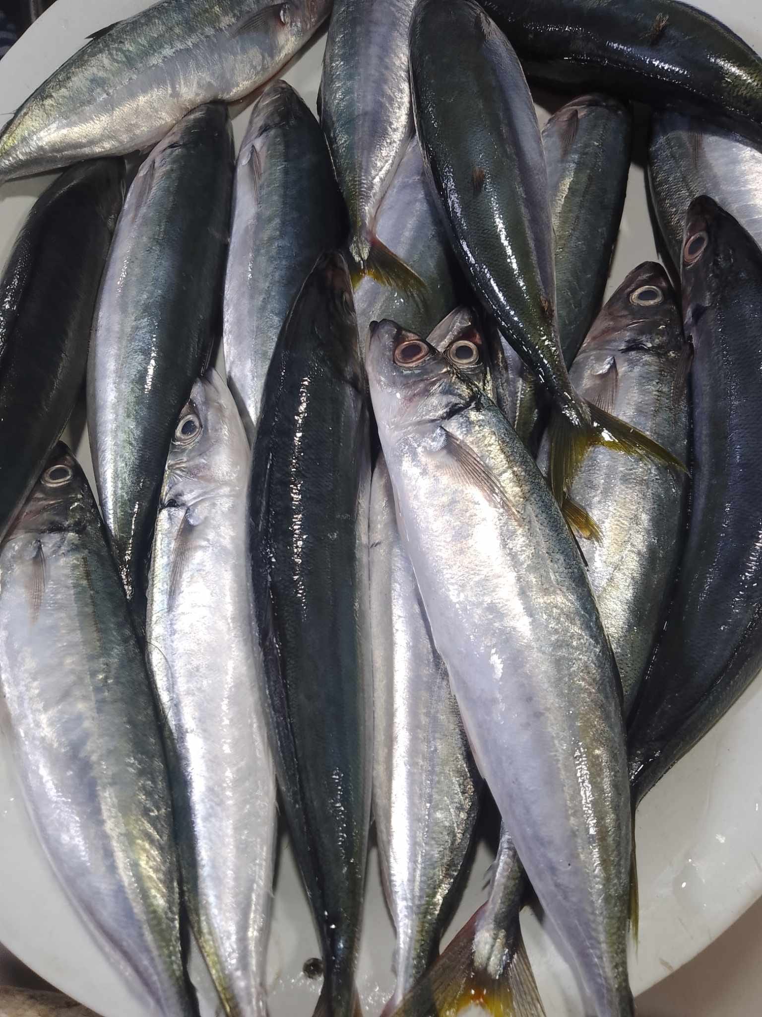 Delada's Fresh Seafoods | Alubijid