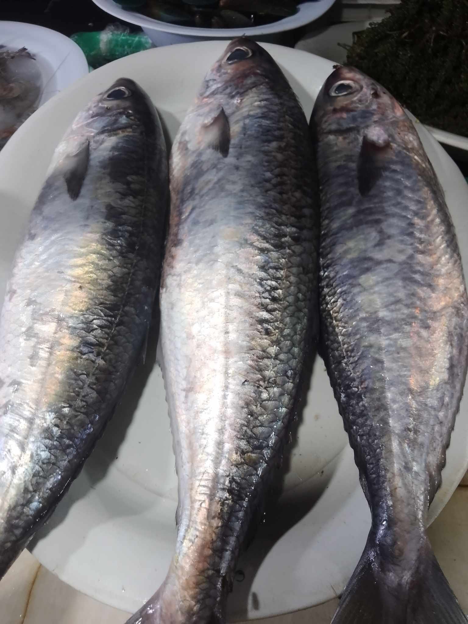 Delada's Fresh Seafoods | Alubijid