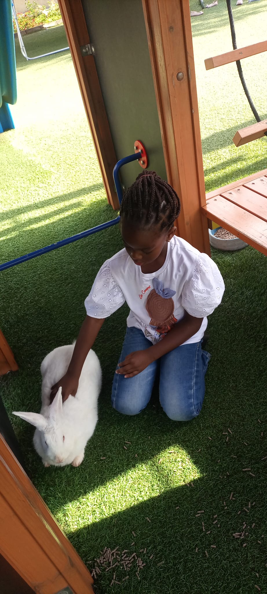 Rabbit Empire Ltd | Nairobi