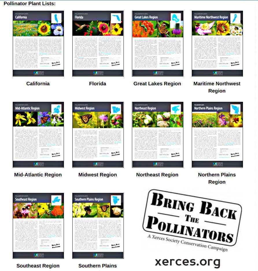 Pollinator Friendly Landscaping - Xerces.org lists native pollinator ...