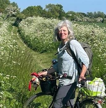 WILD FLOWER MEADOWS UK | Help required please | Facebook