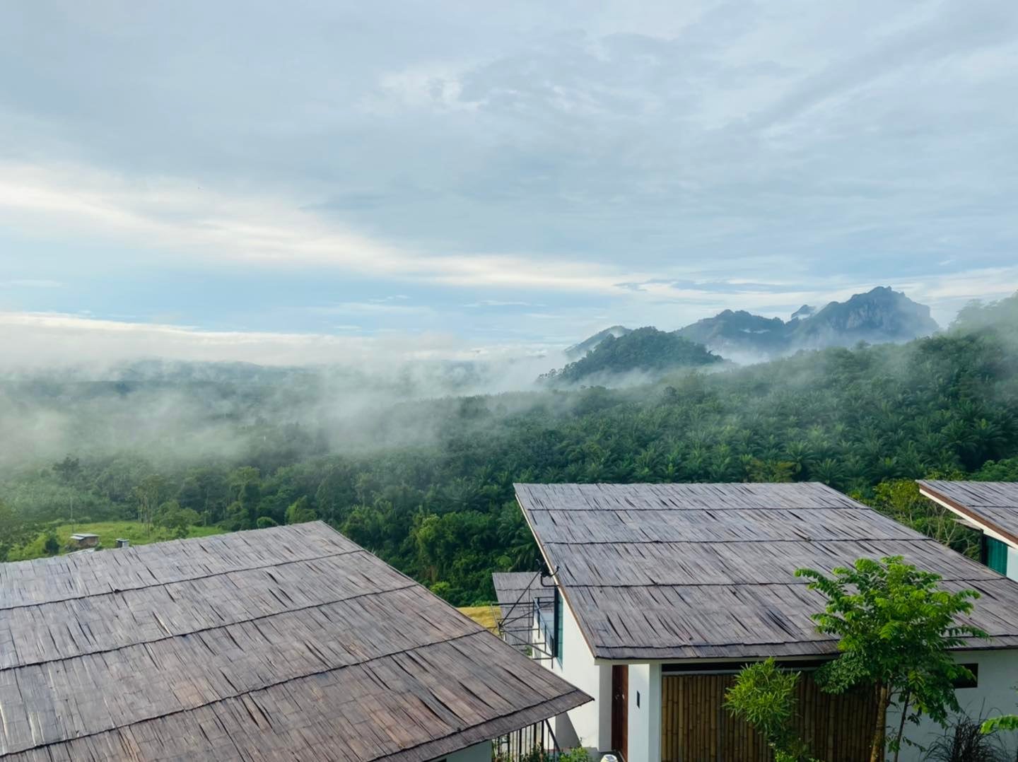 Caligo Resort - คิดถึงหมอก คิดถึงเขา คิดถึงอากาศหนาว... | Facebook