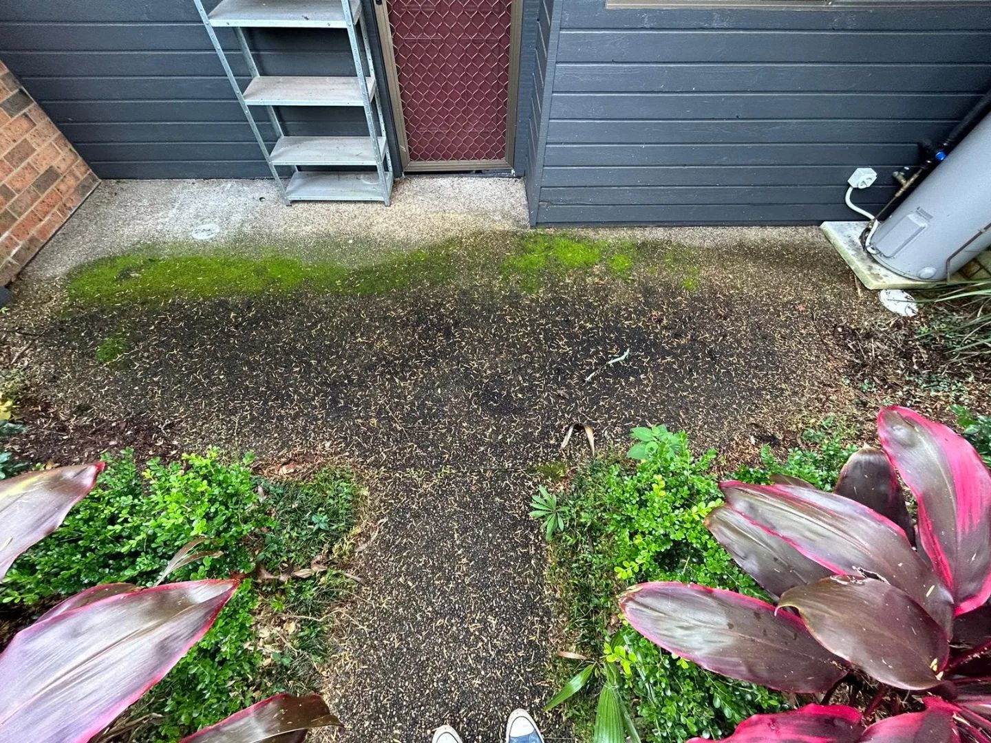 This strata block posed a huge... - G-Force Pressure Cleaning