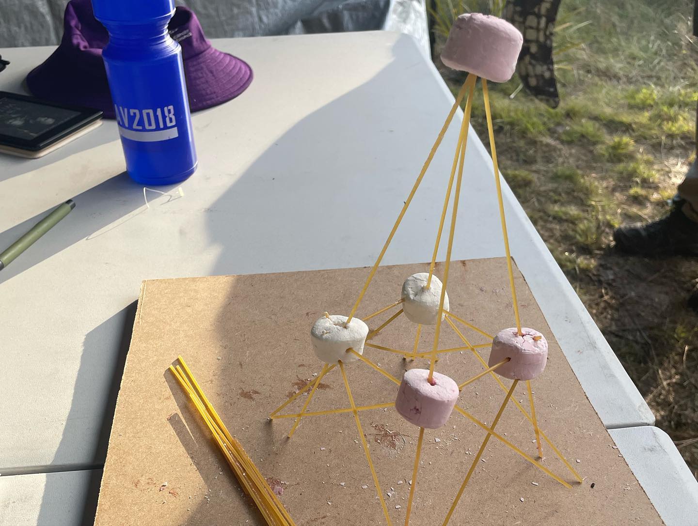 1st Austinmer Rover Scouts | Woonona NSW