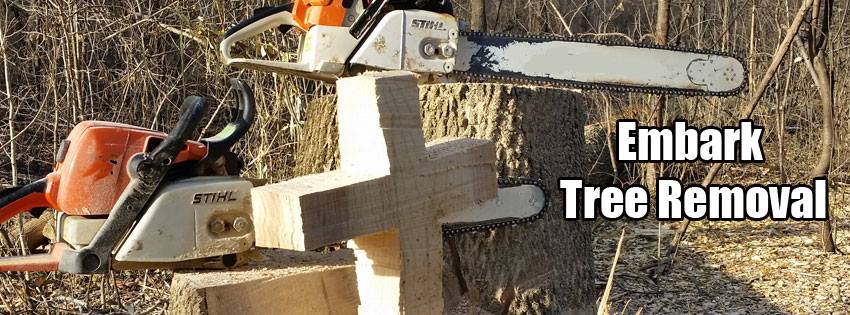 Embark Tree Removal