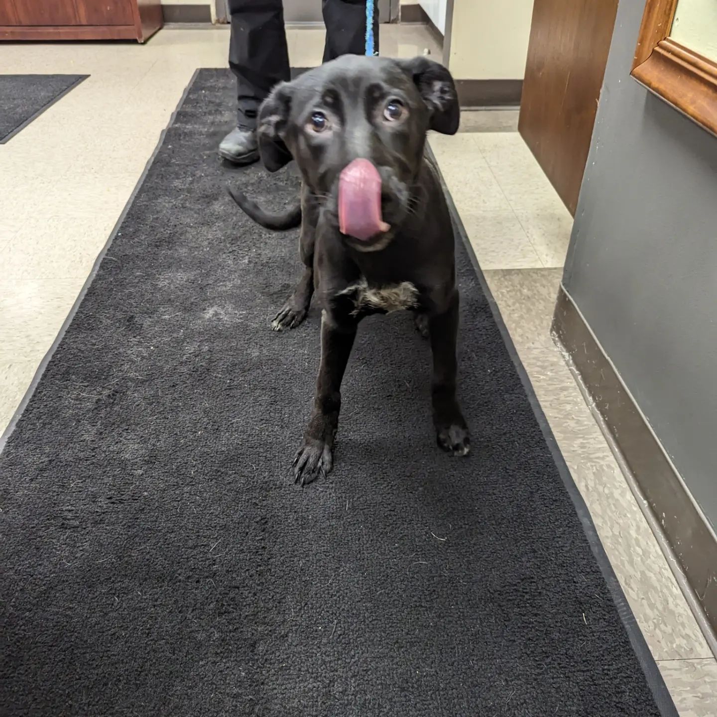Do you know this scared... - Fort Defiance Humane Society