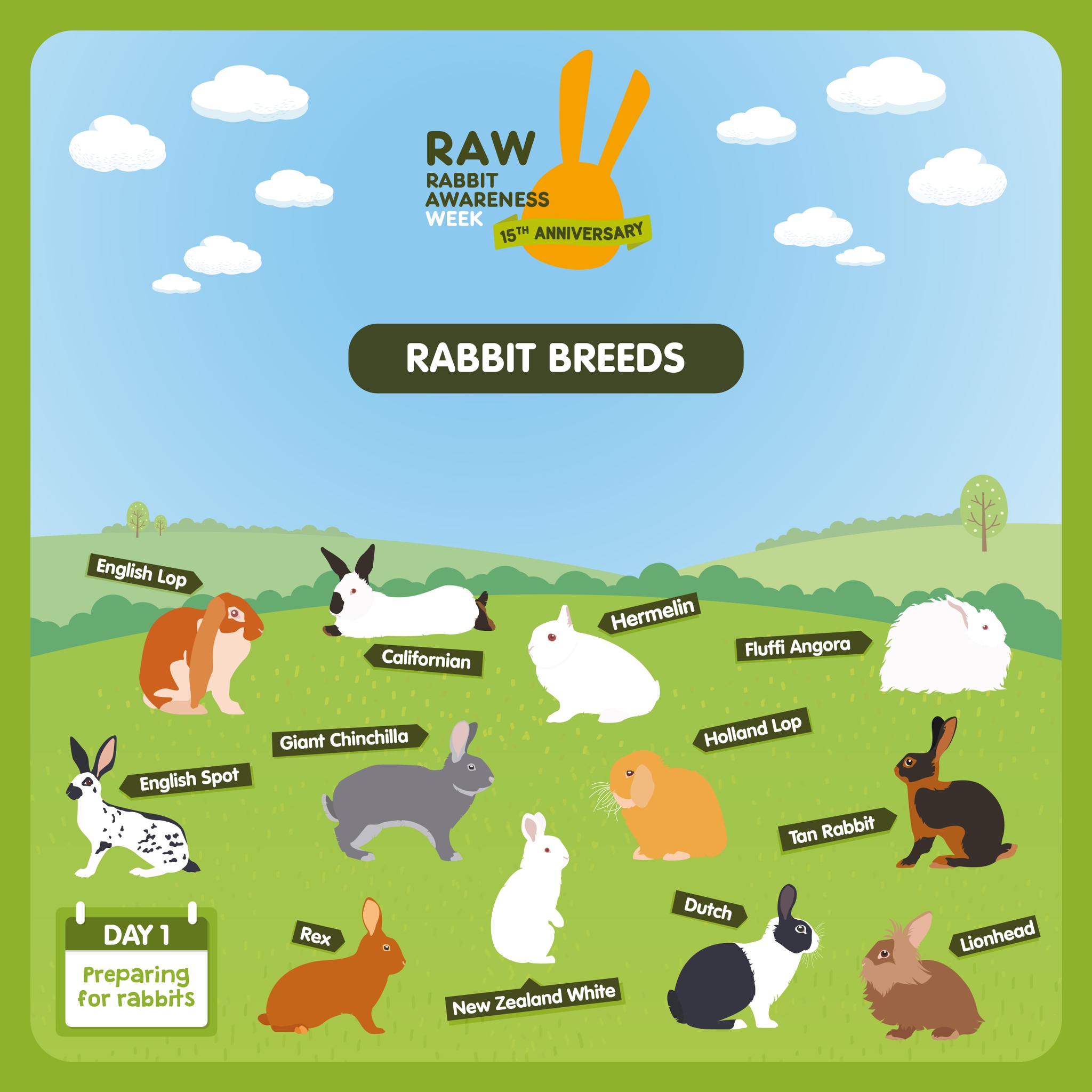 Did you know? There are around 300... - Rabbit Awareness Week | Facebook