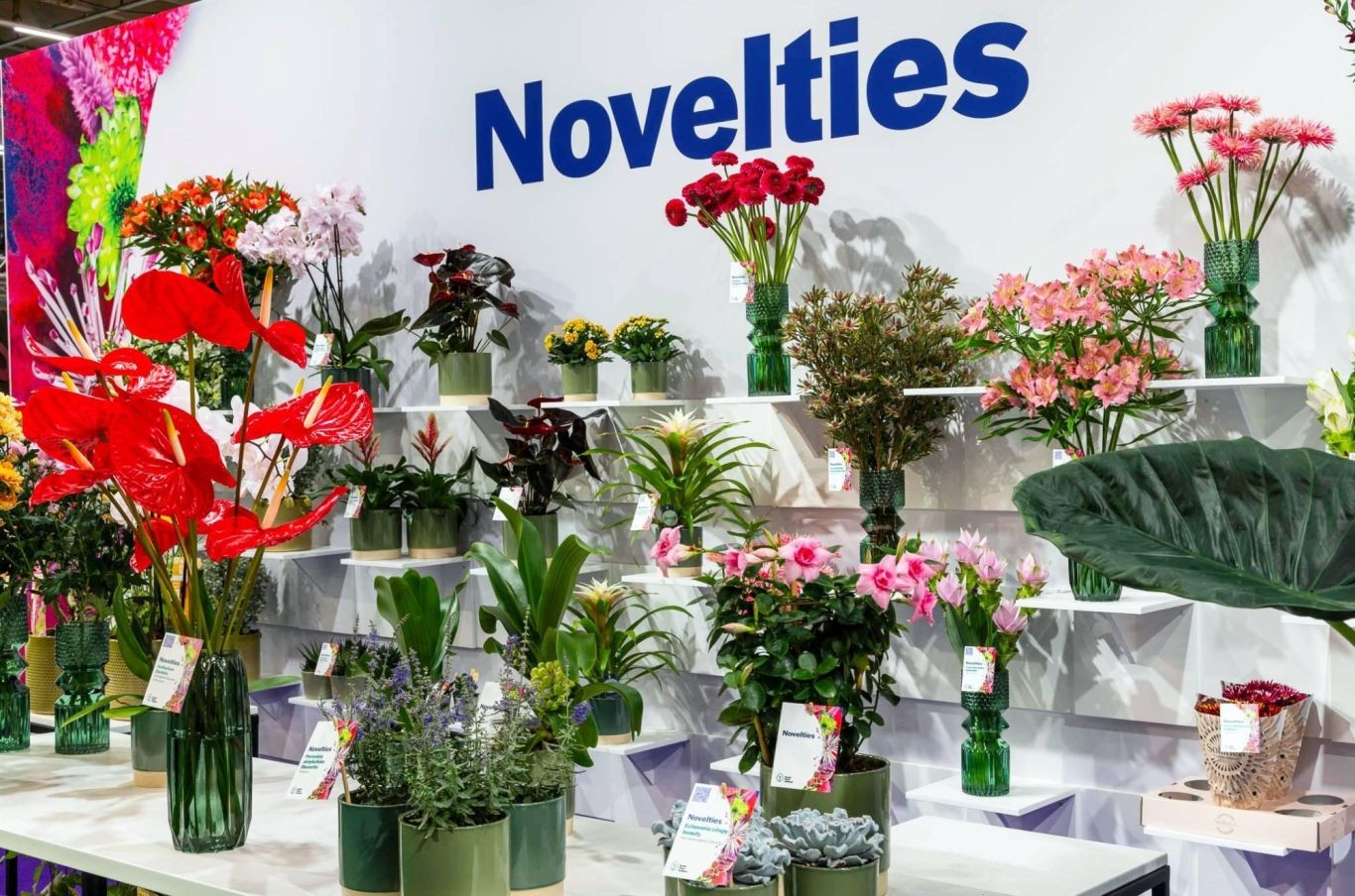 royal-floraholland-noviteiten-aalsmeer