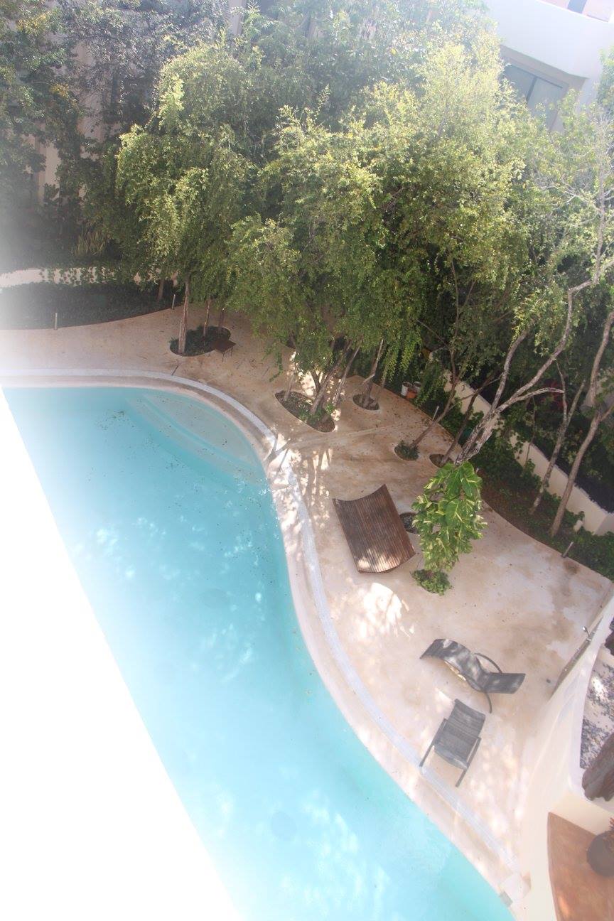 Trinity Tulum - Trinity Tulum added a new photo.
