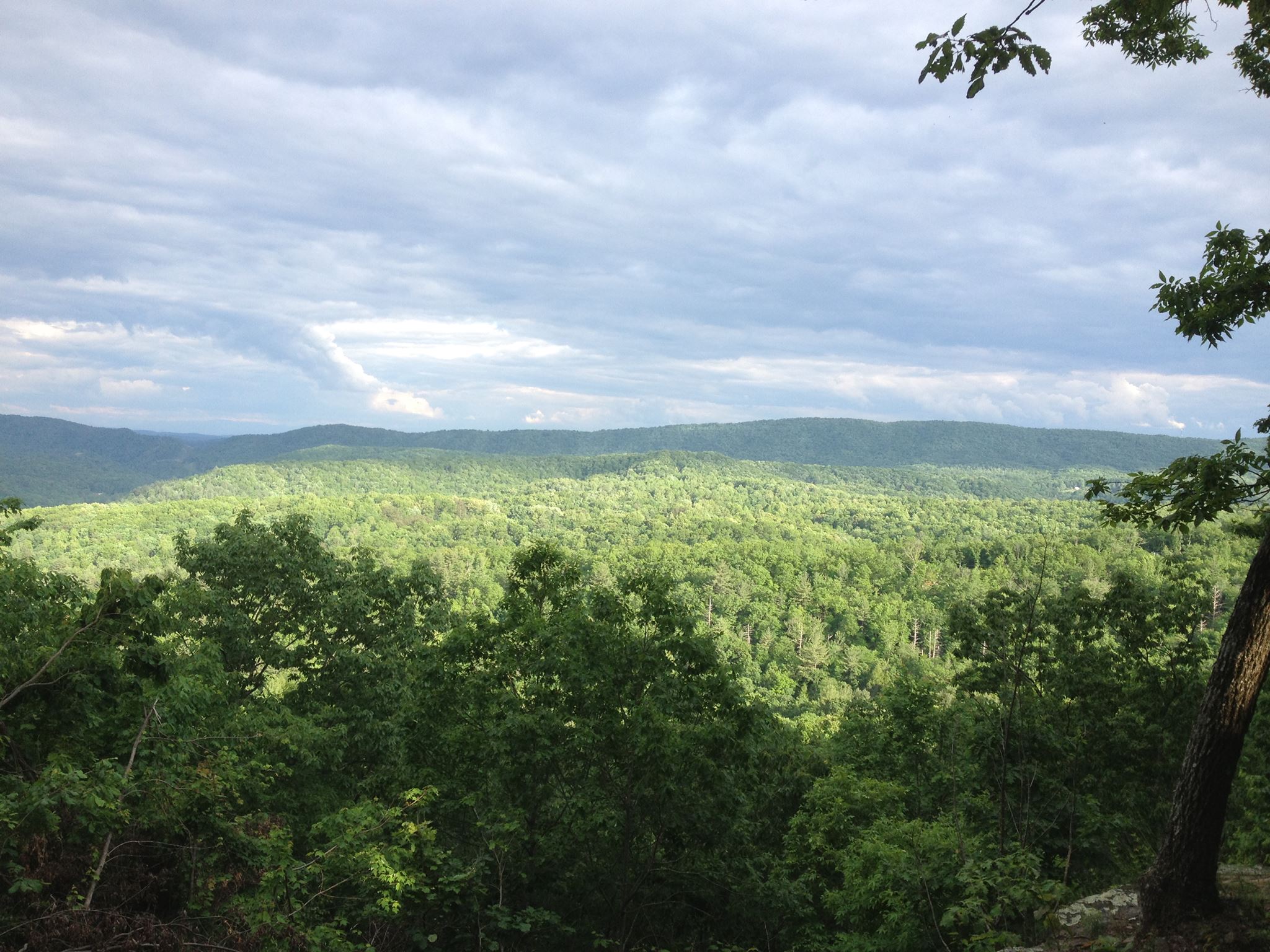 Green Ridge Trails