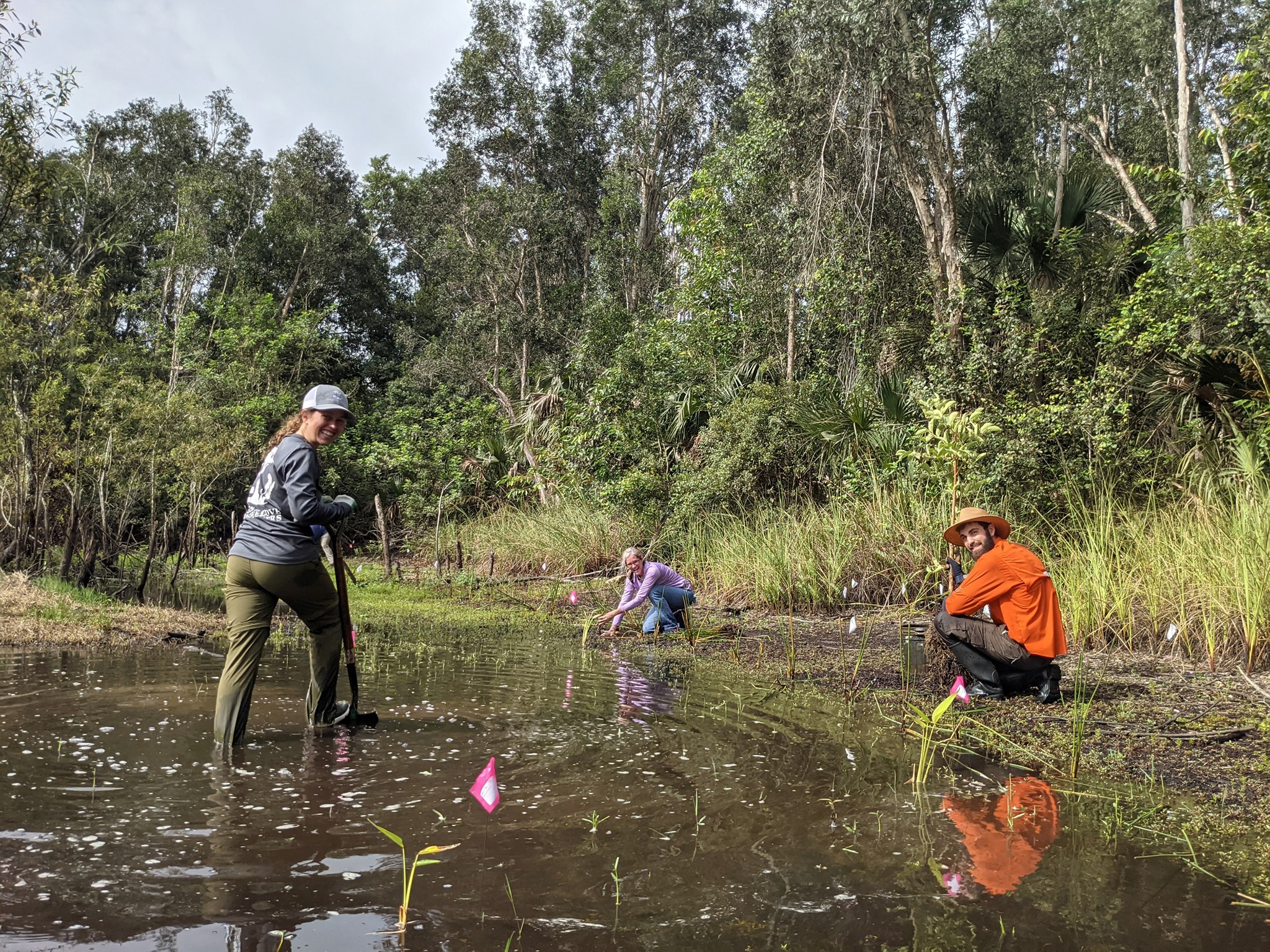 Rattlesnake Hammock Preserve | Naples FL