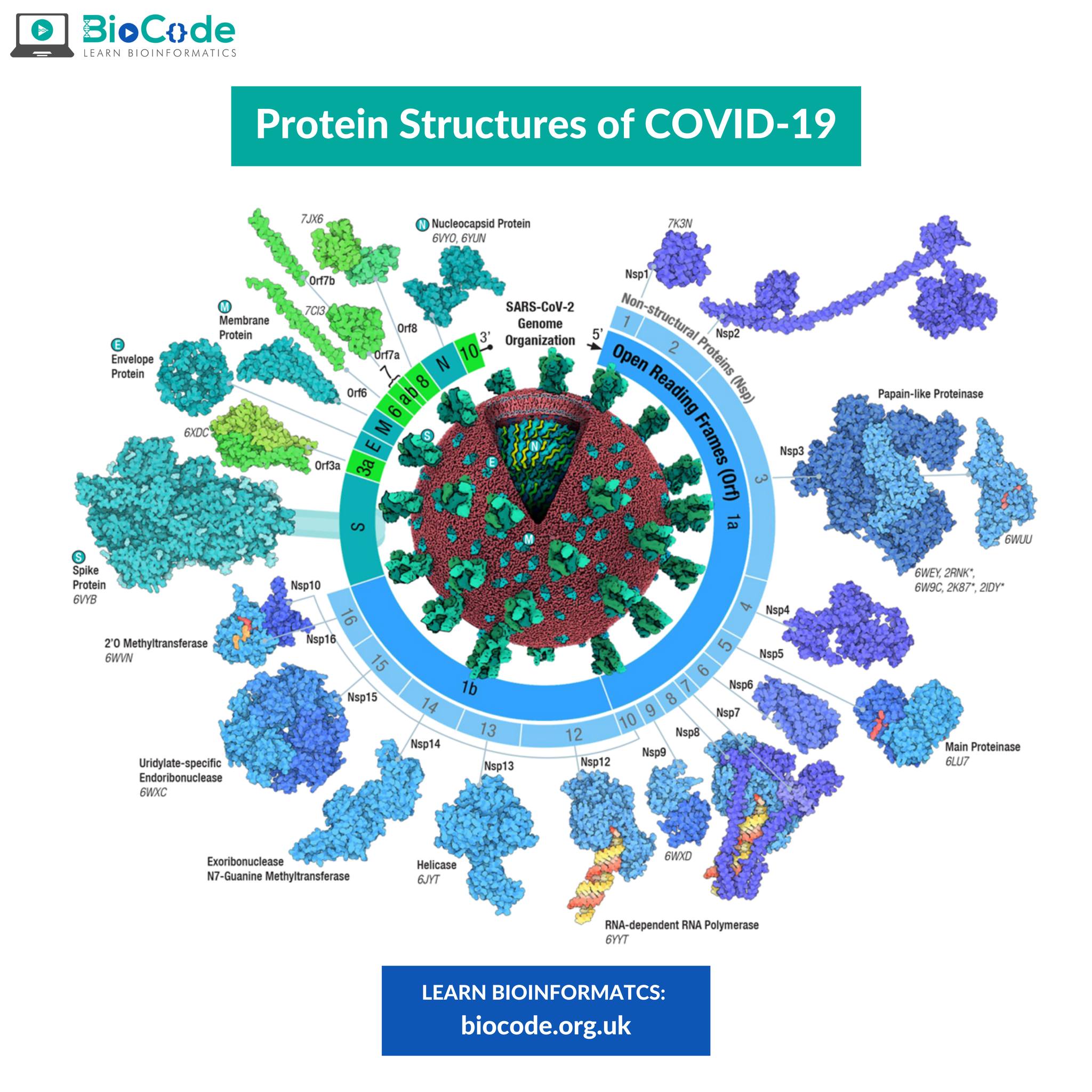 BioCode - This graph is representing all the protein... | Facebook