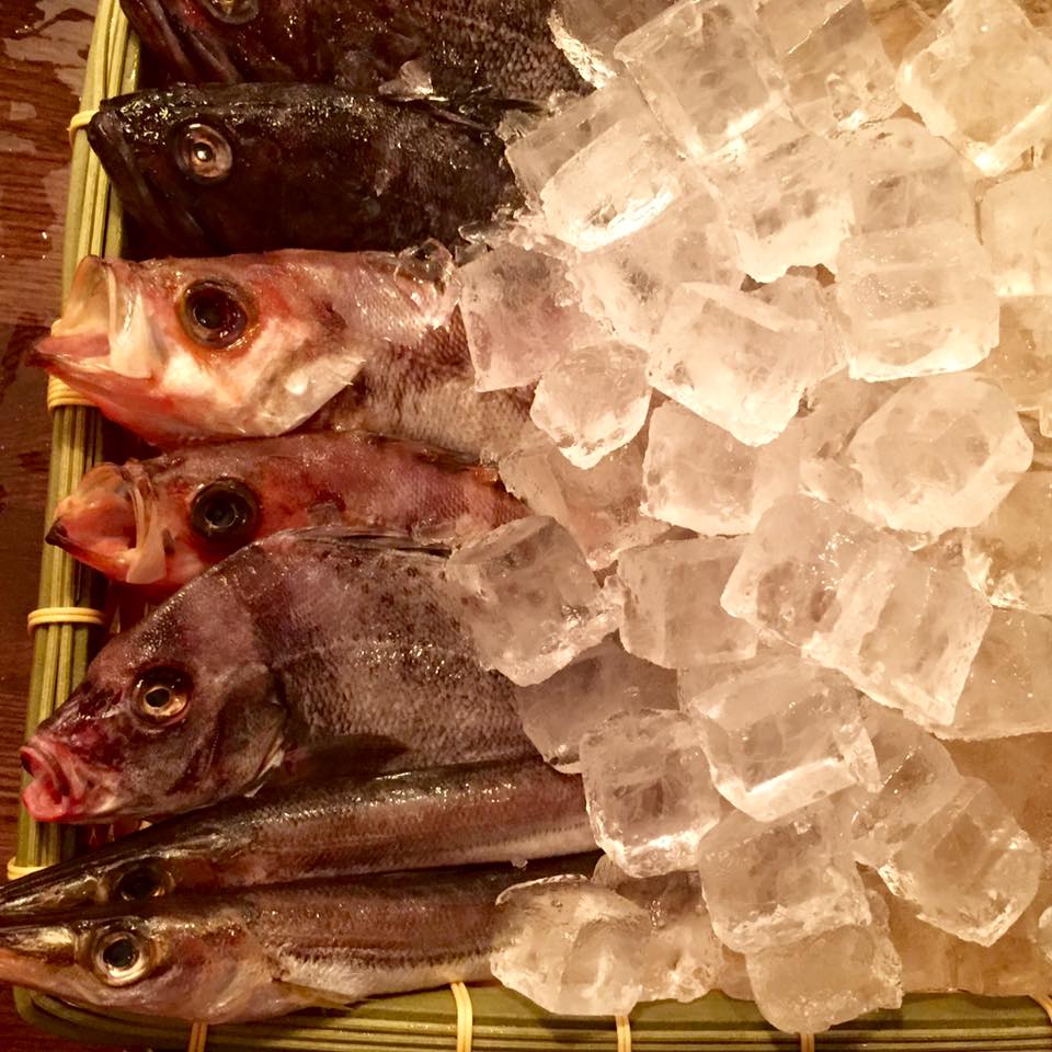 Ganguya 玩具屋 是日最新空運日本鮮魚 由上至下 蝦夷目張黑曹以胡椒鯛竹簽魚 可原條刺身 Facebook