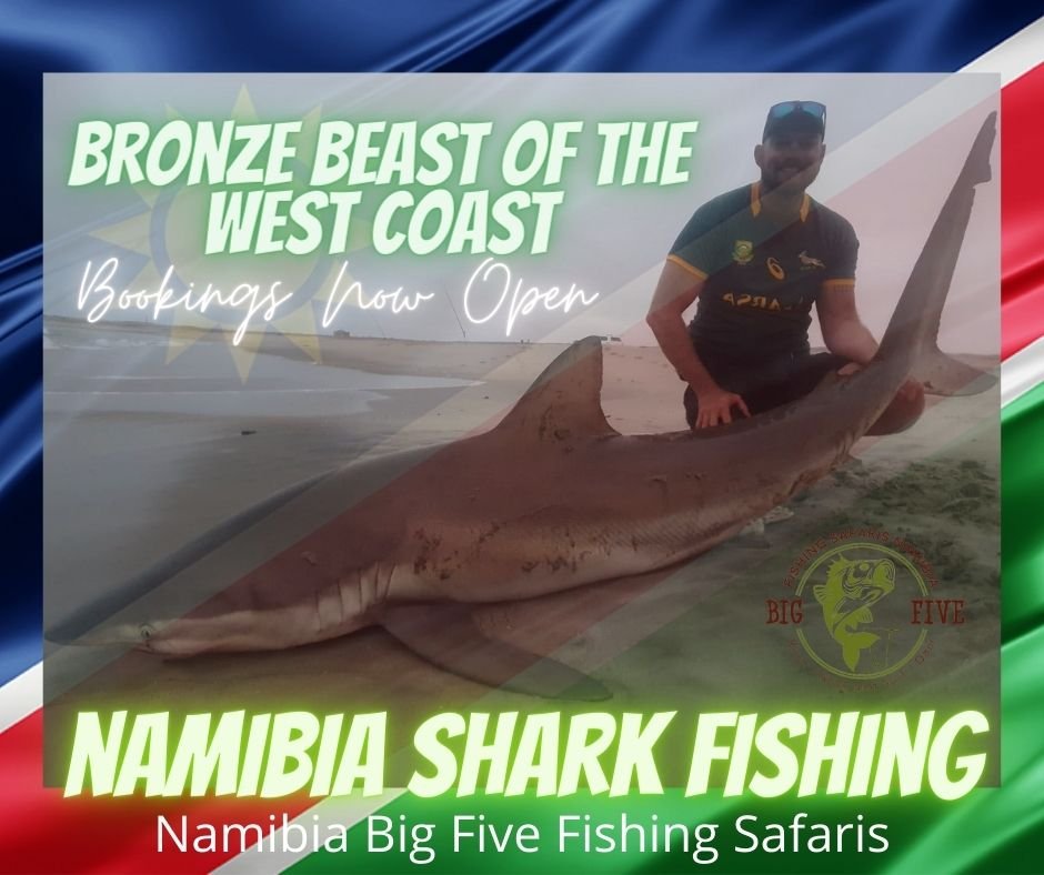 🇳🇦 NAMIBIA SHARK... - Namibia Big Five Fishing Safaris | Facebook