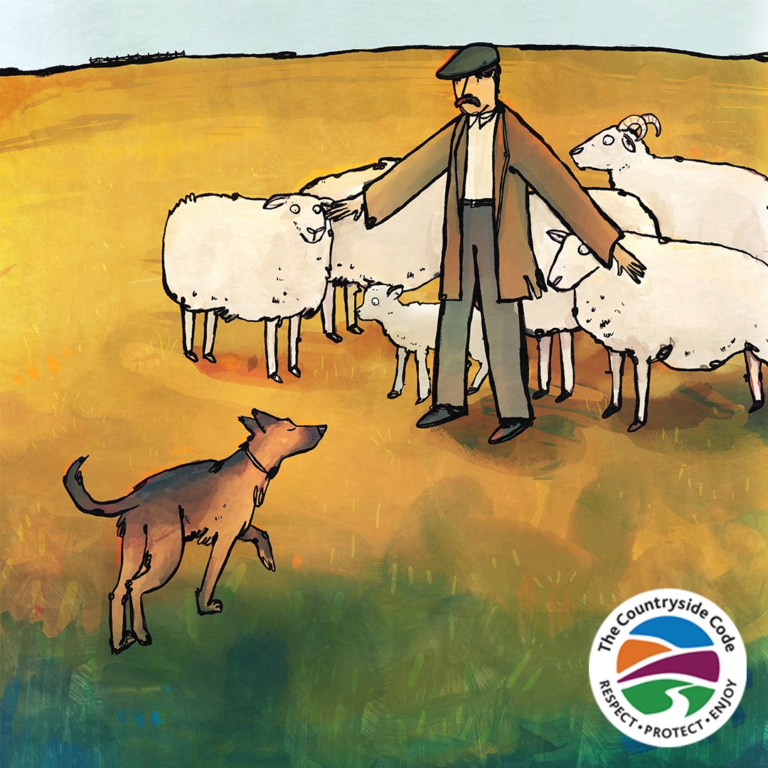 The Countryside Code