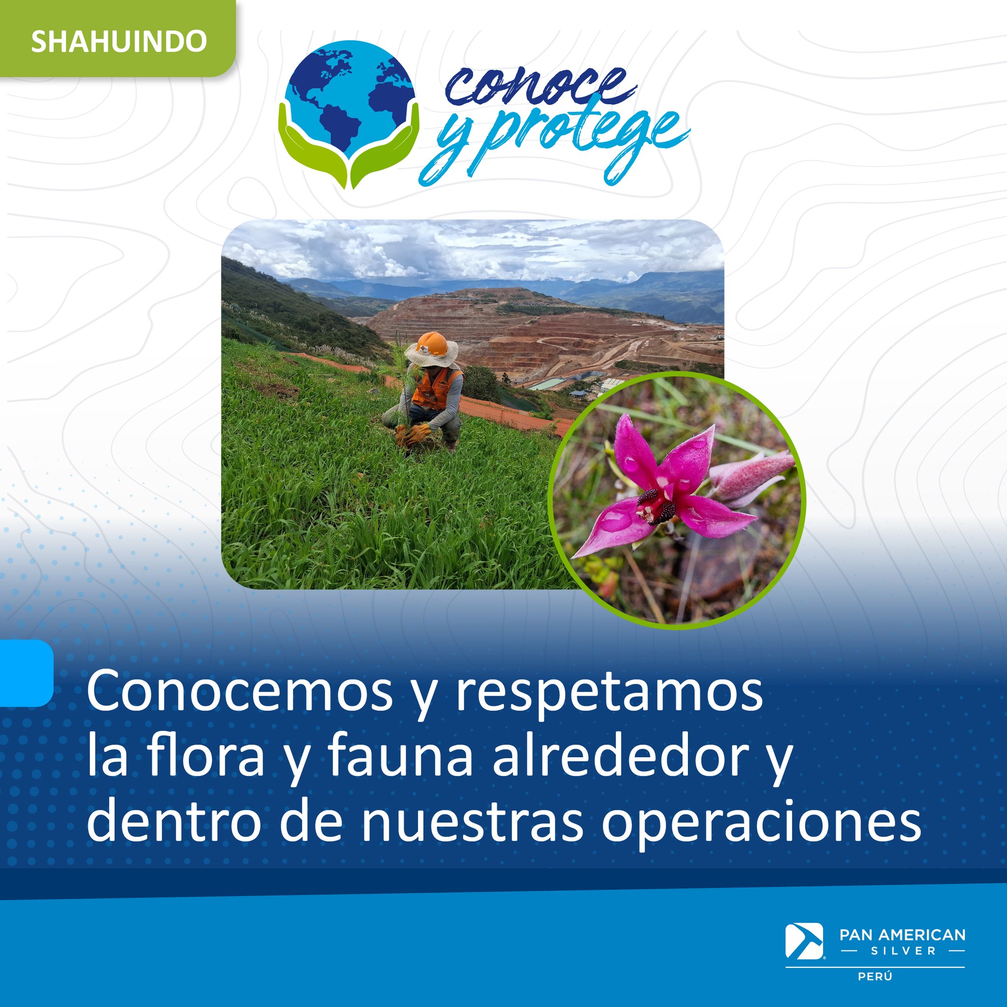 🌱💚 Comprometidos con la... - Pan American Silver Perú | Facebook