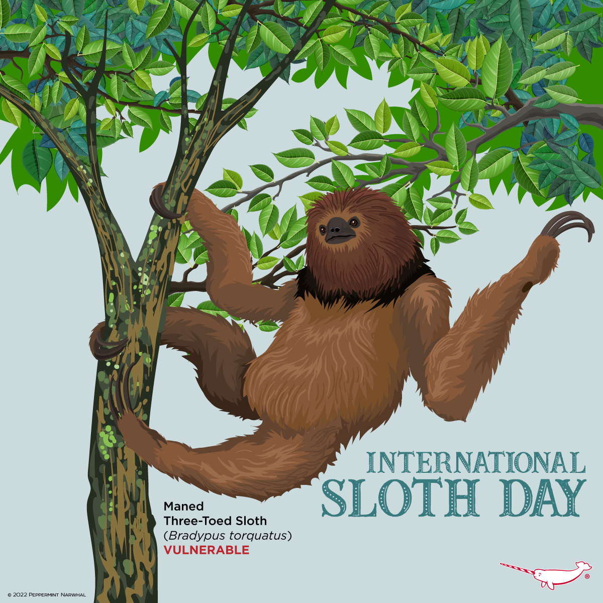 Happy International Sloth... - Peppermint Narwhal Creative