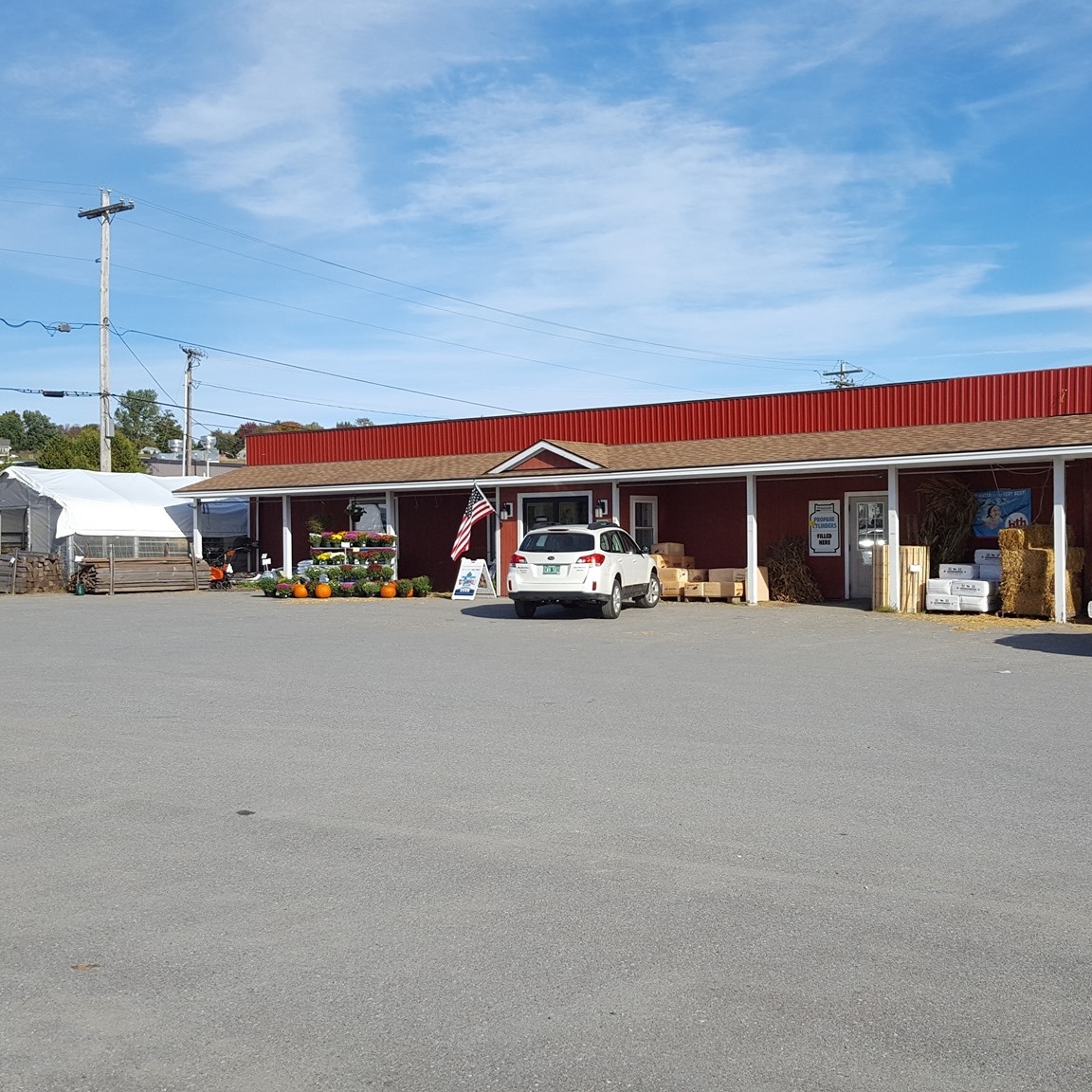 The greenhouse is full 🌸🎉 - Menard's Family True Value | Facebook