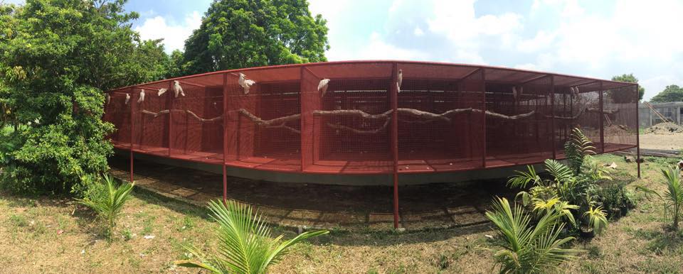 Picture of Northern Exotics Aviaries Canada - HARI- Hagen Avicultural Research ...