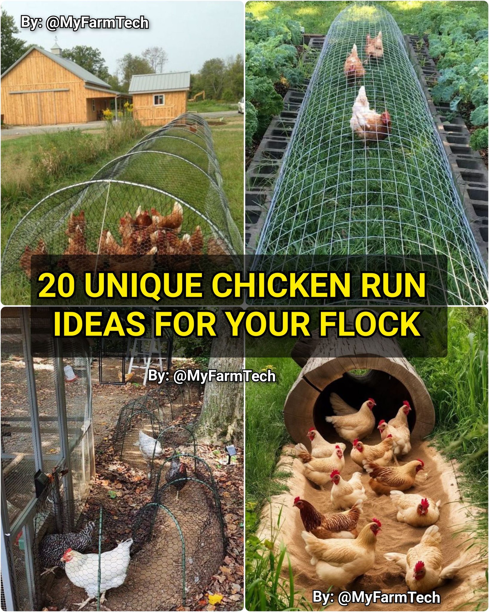 Farming - 20 UNIQUE CHICKEN RUN IDEAS FOR YOUR FLOCK 1. Chicken ...