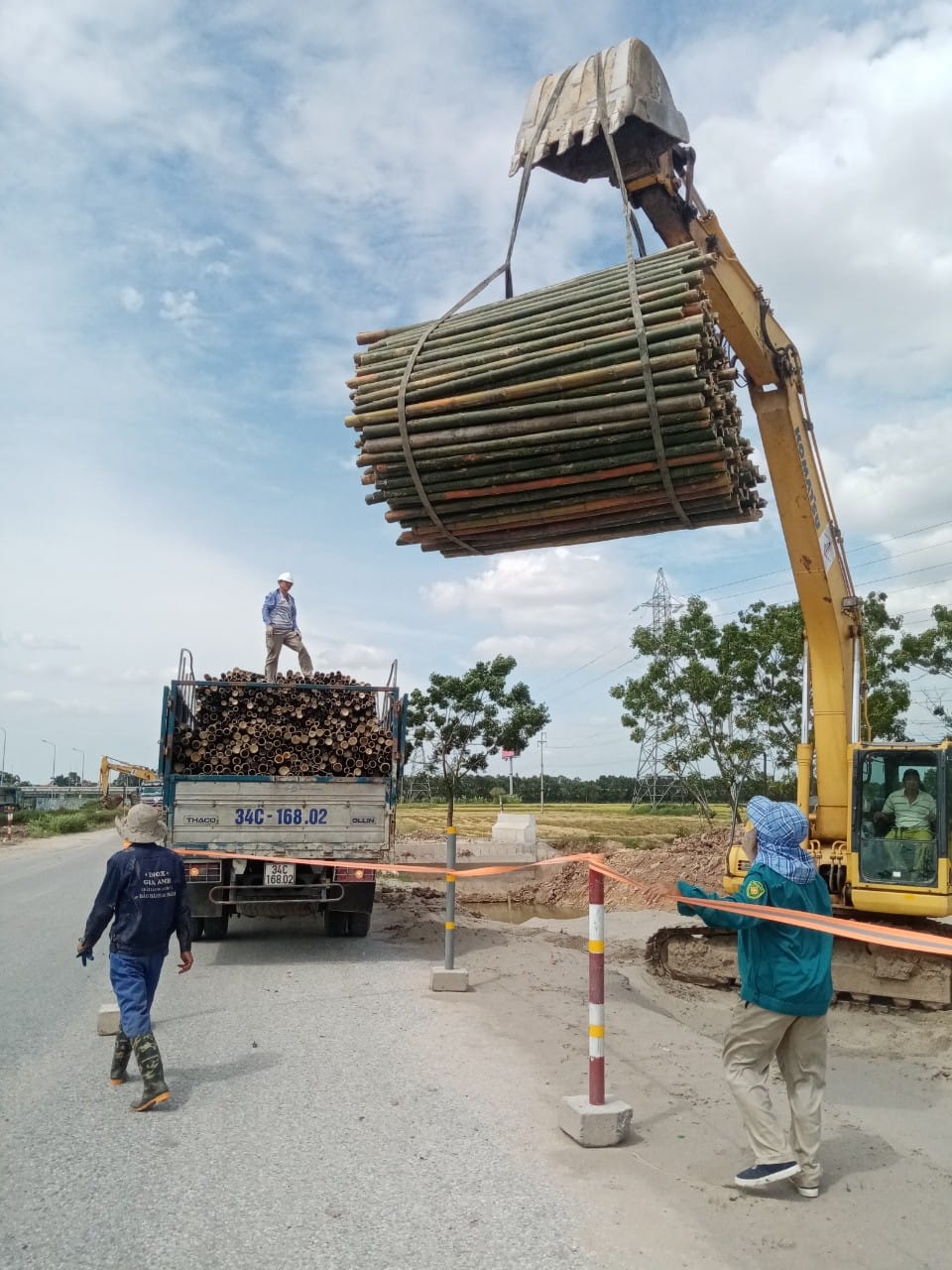 Cọc Tre Xây Dựng | Hai Duong
