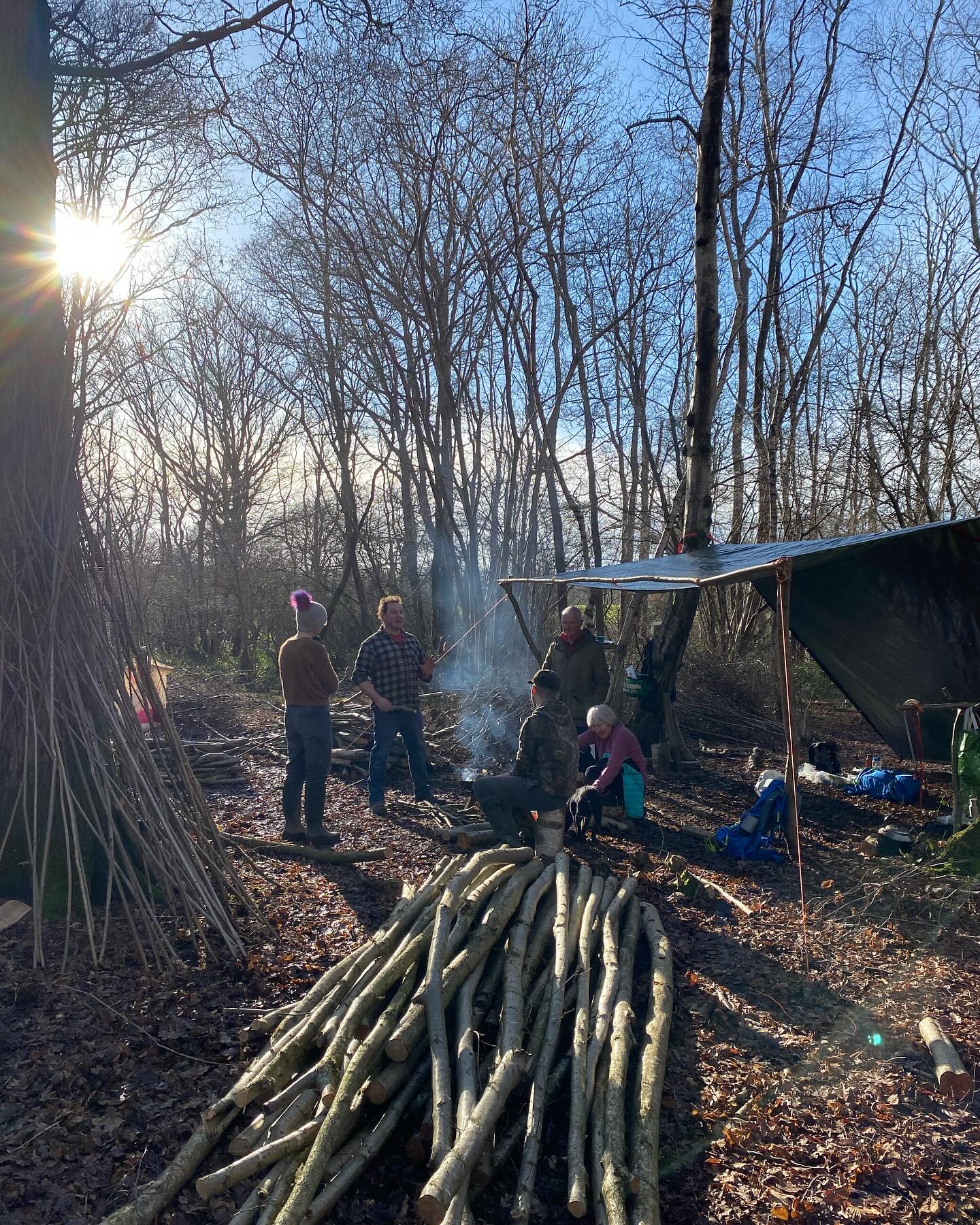 Roots CIC | Storrington