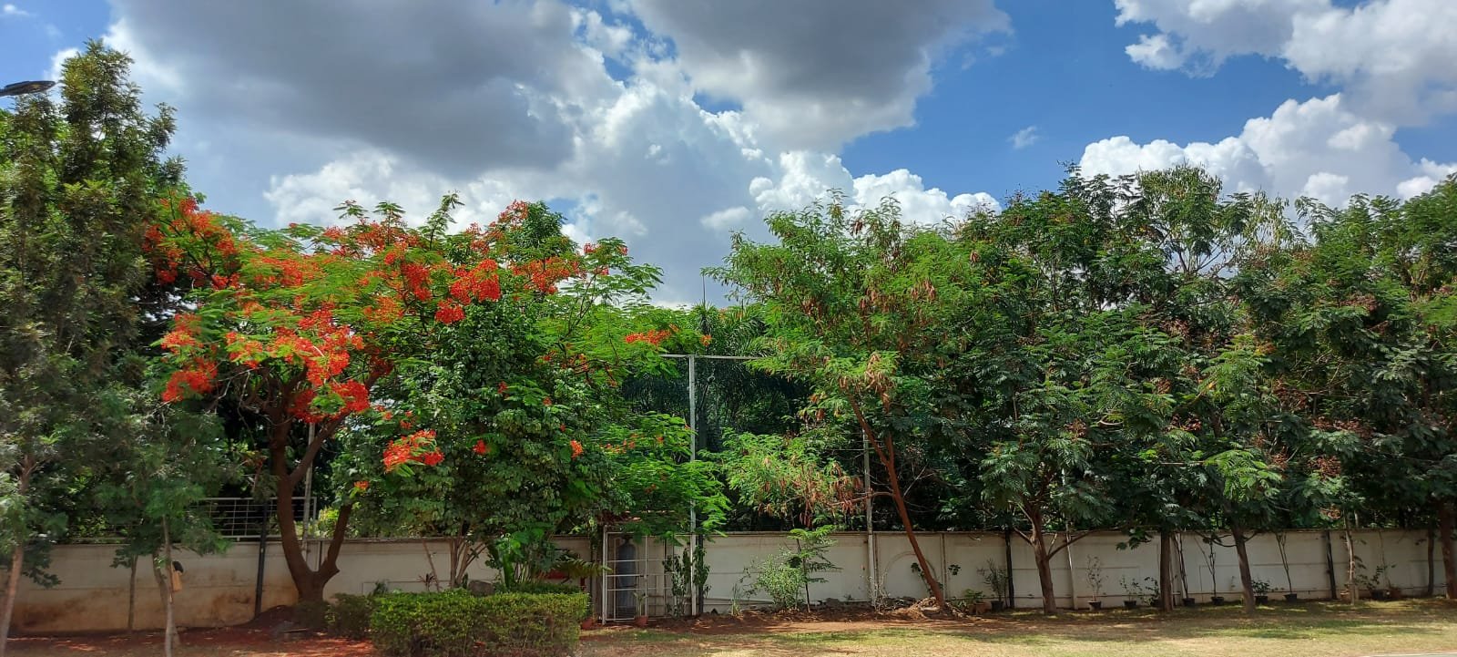 Sadhu Vaswani International School, Moshi, Pune
