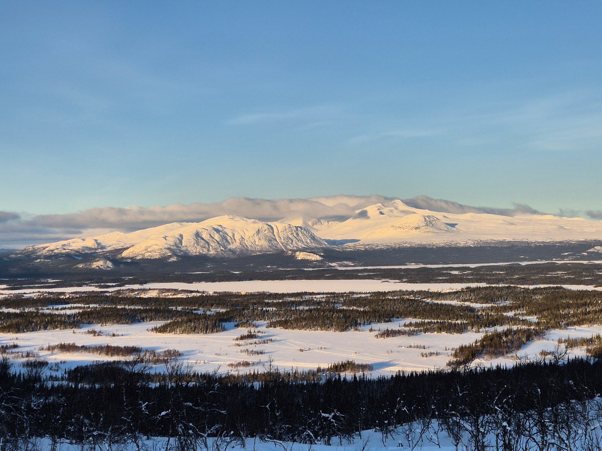 Fjällfrid Saxnäs
