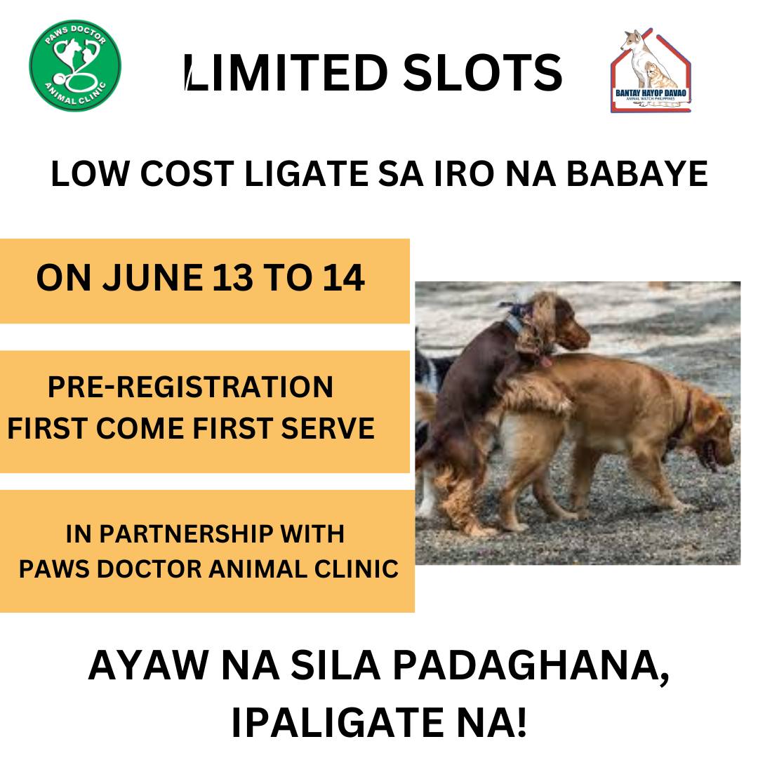 MURANG LIGATE SA IRO NA BABAE... - Bantay Hayop Davao | Facebook
