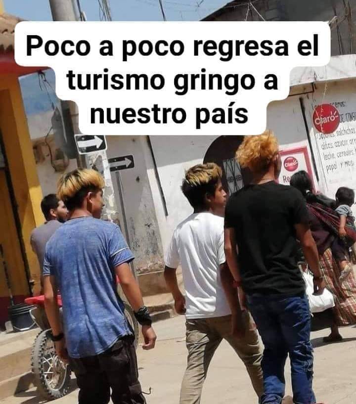 Rebane Sanjuaneño hn