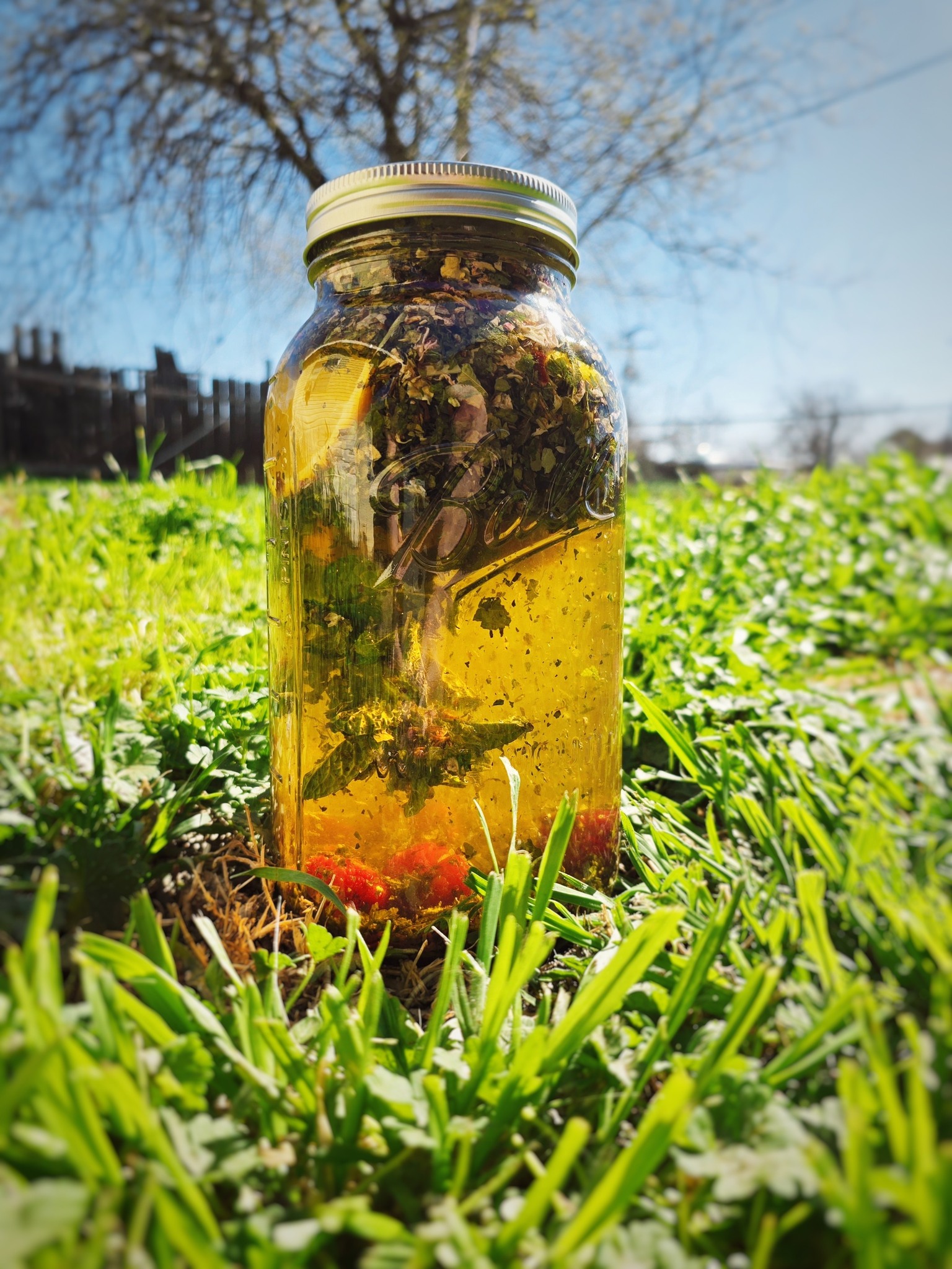Barefoot - Today I'm welcoming spring with an herbal solar infusion! 🌱🌞 ...