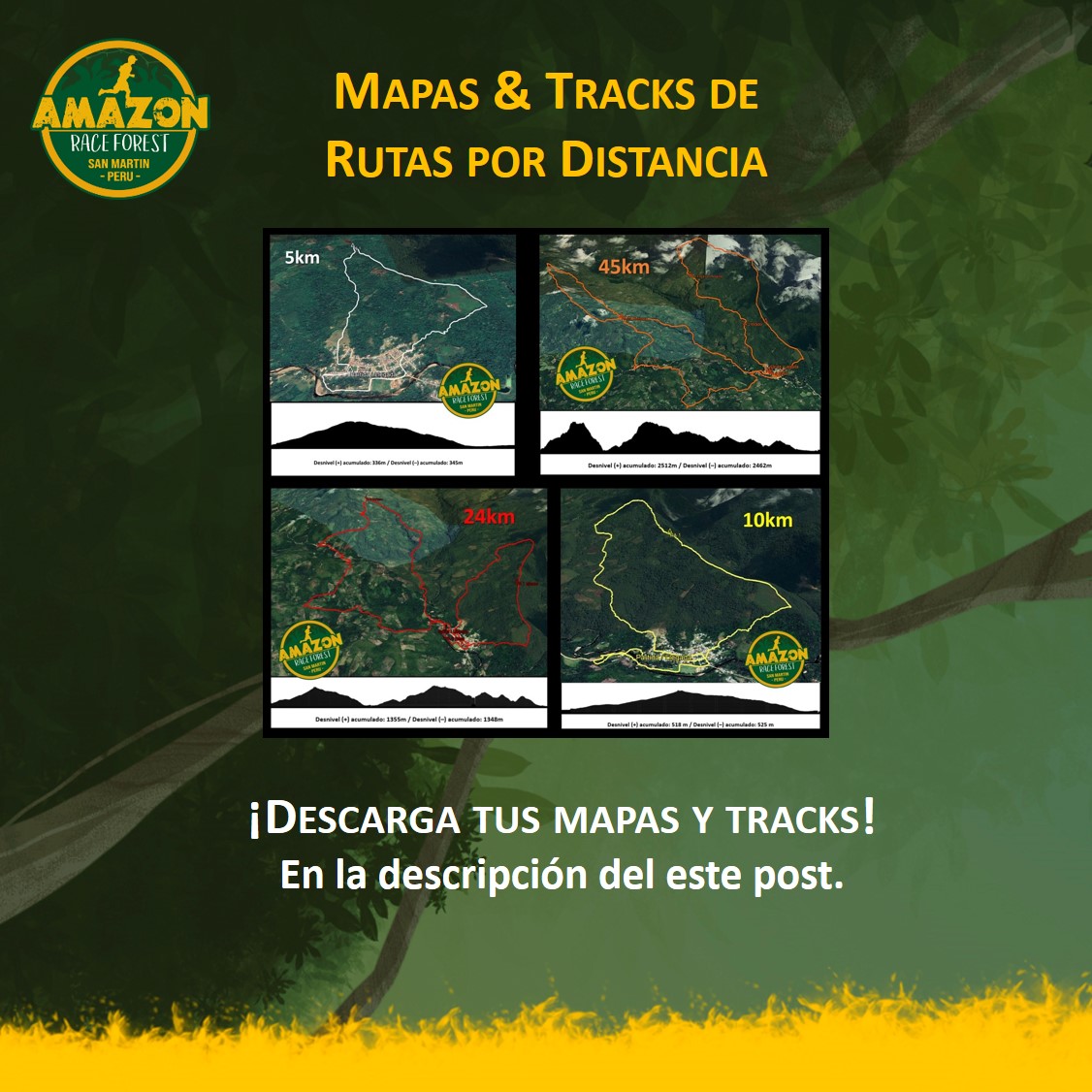 Ya puedes descargar los mapas y... - Amazonia Road & Trail