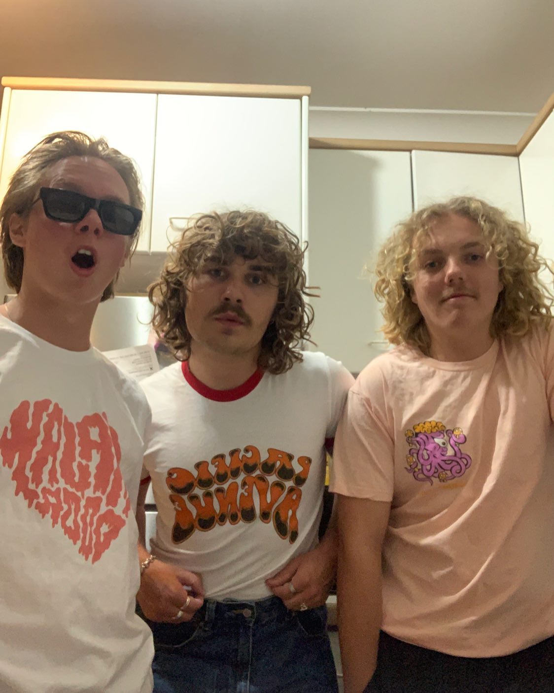 The Rions - Happy Aus Music T-shirt day! Big love if you... | Facebook