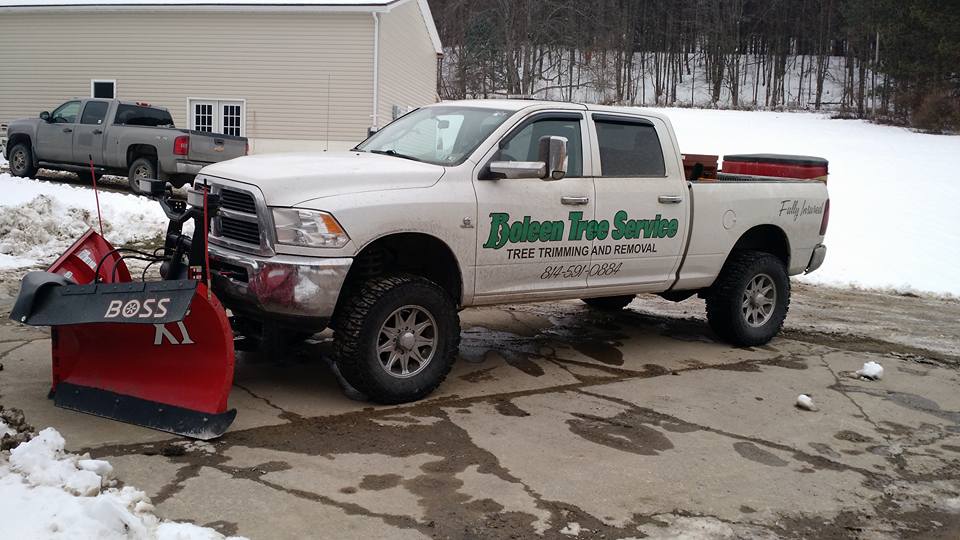 Boleen Tree Service | Brockway PA