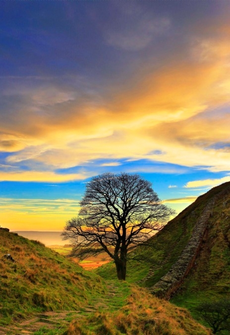 Hadrian's - Hadrian's Wall is a beautiful place for a walk under big ...