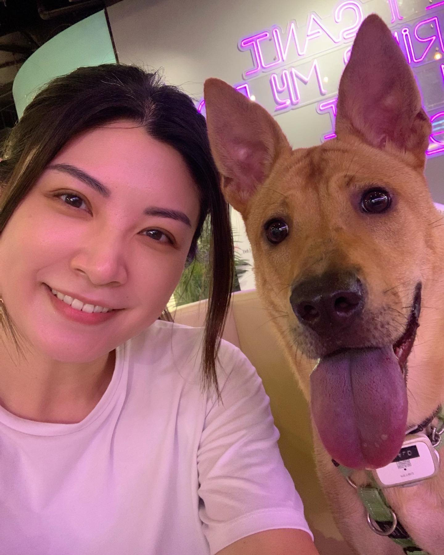 第一次帶halo岀街食飯，開心到儍左，我講緊我🤣... - 張文采 Wendy Cheung