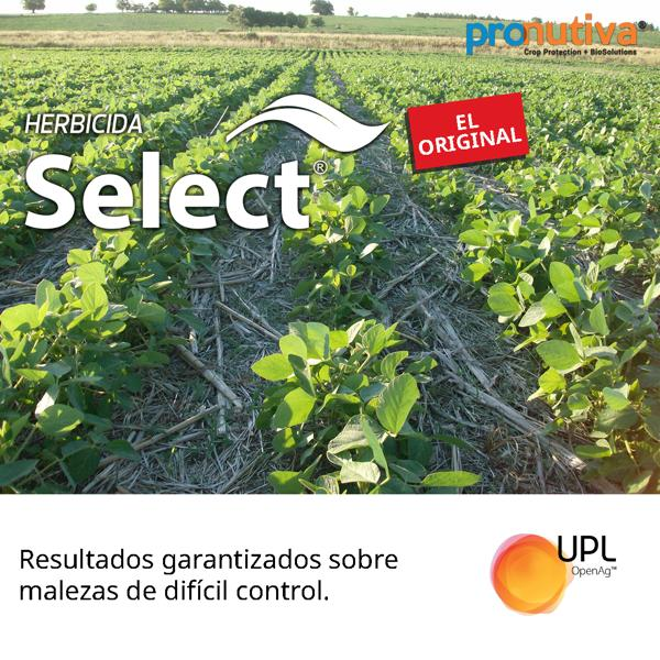 UPL Paraguay - UPL desarrolla tecnologías innovadoras para el manejo de ...