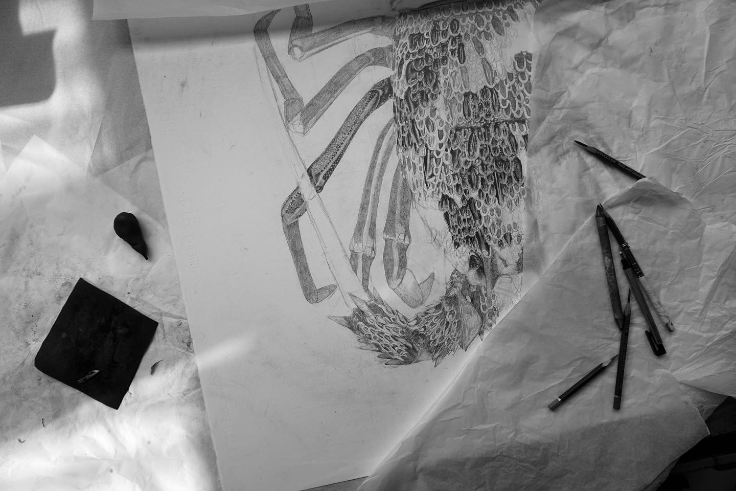 Tim - View from above, new work in the works. Big female spiny rock ...