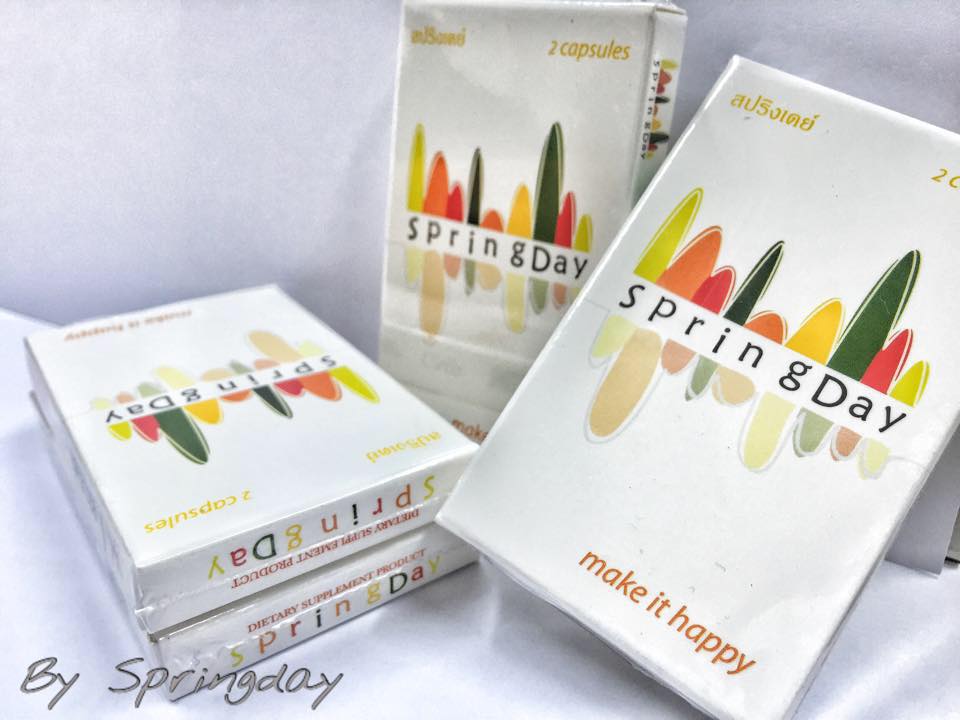 Spring Day Corp