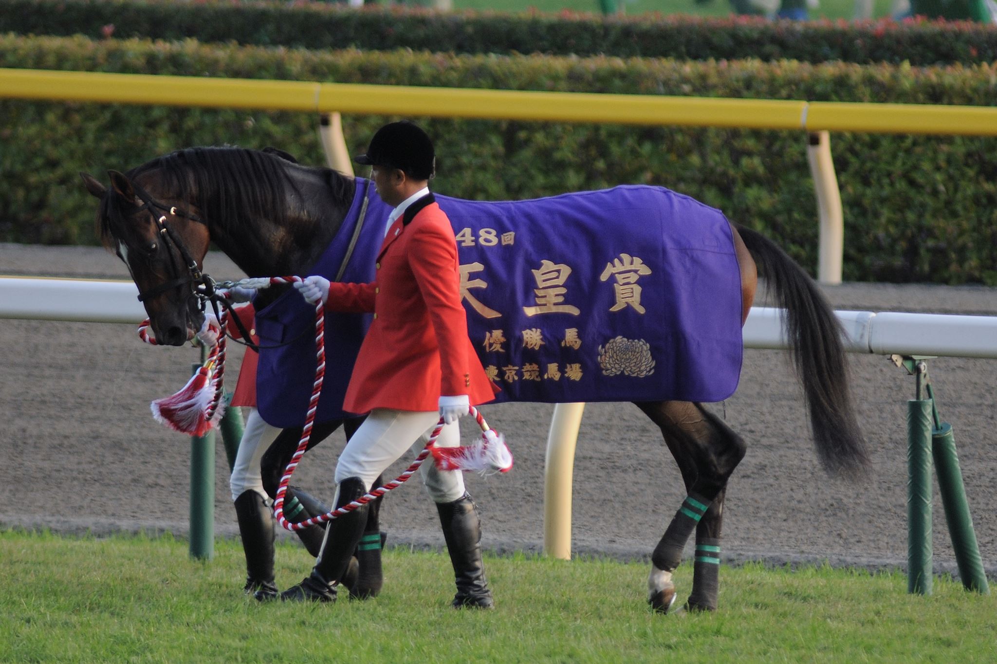 時空の扉 - ジャスタウェイのオーナーさんは大和屋暁氏 http://ja.wikipedia.org/wiki/%E5%A4%A7%E5 ...