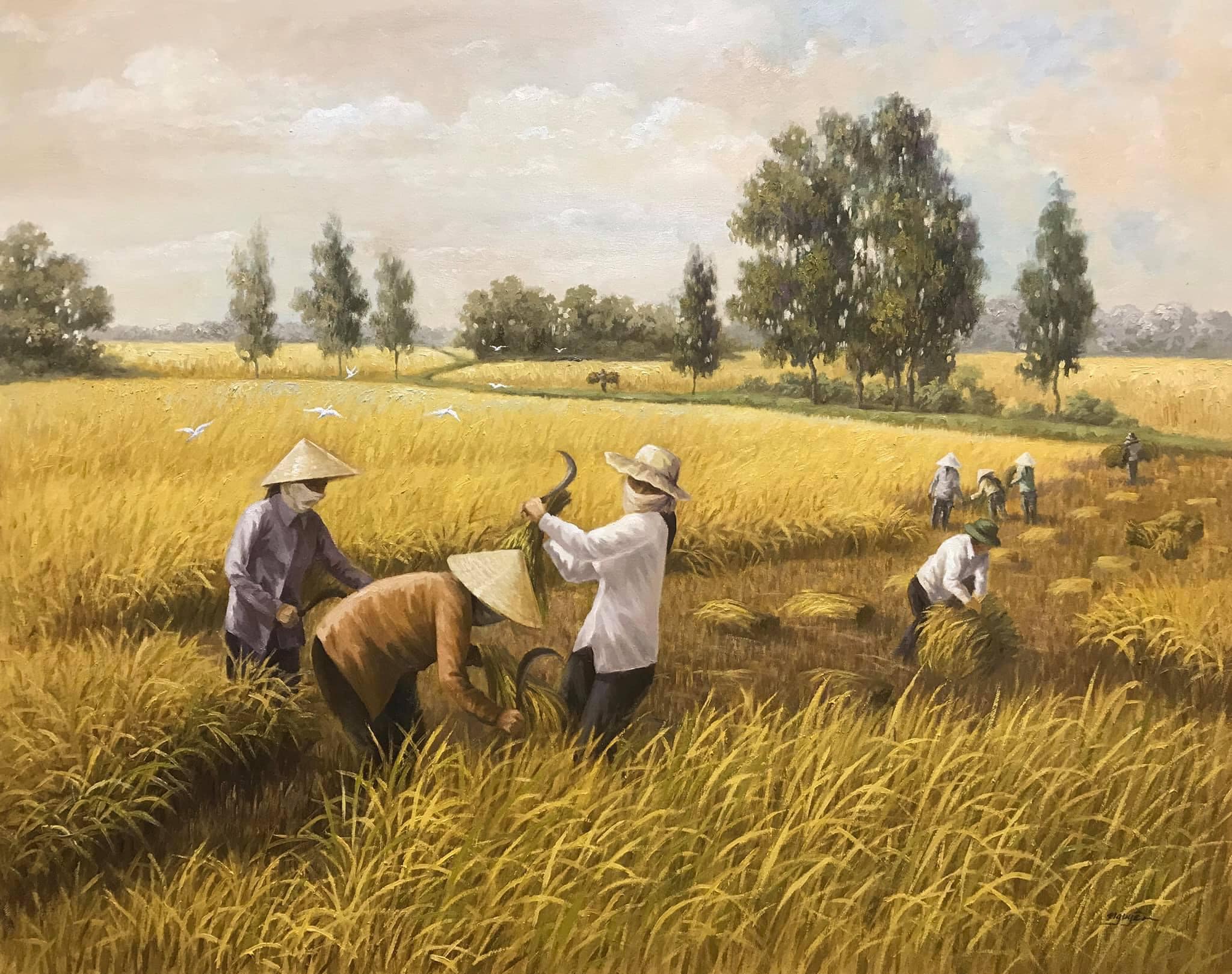 S Vietnam - MÙA VÀNG Không đợi đến mùa thu Cứ vào mùa gặt hái Cả xóm ...