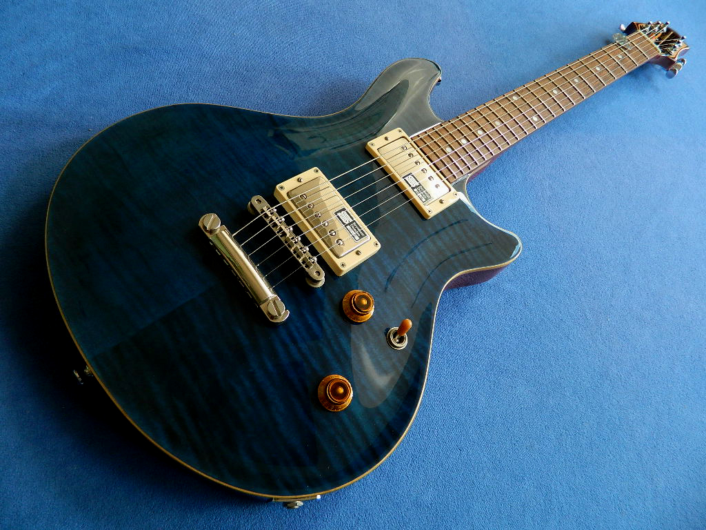 What are ESP Potbelly guitar models and their history?