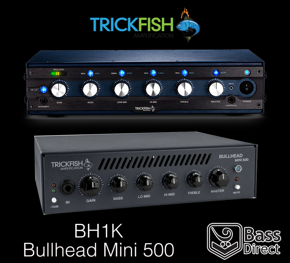 Trickfish Bullhead Mini 500c combo amp for bass