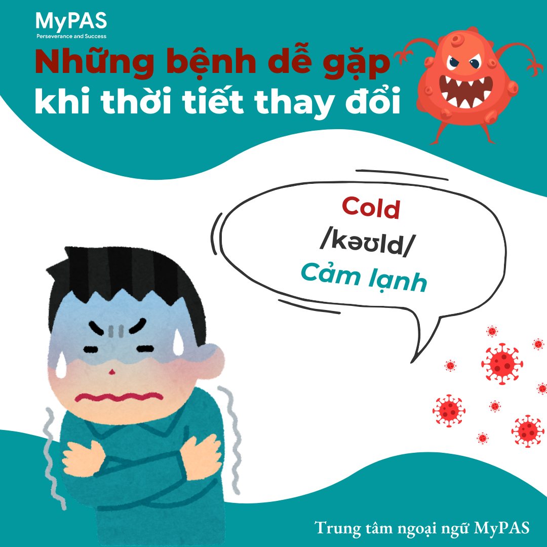Trung tâm Ngoại ngữ MYPAS | Hanoi