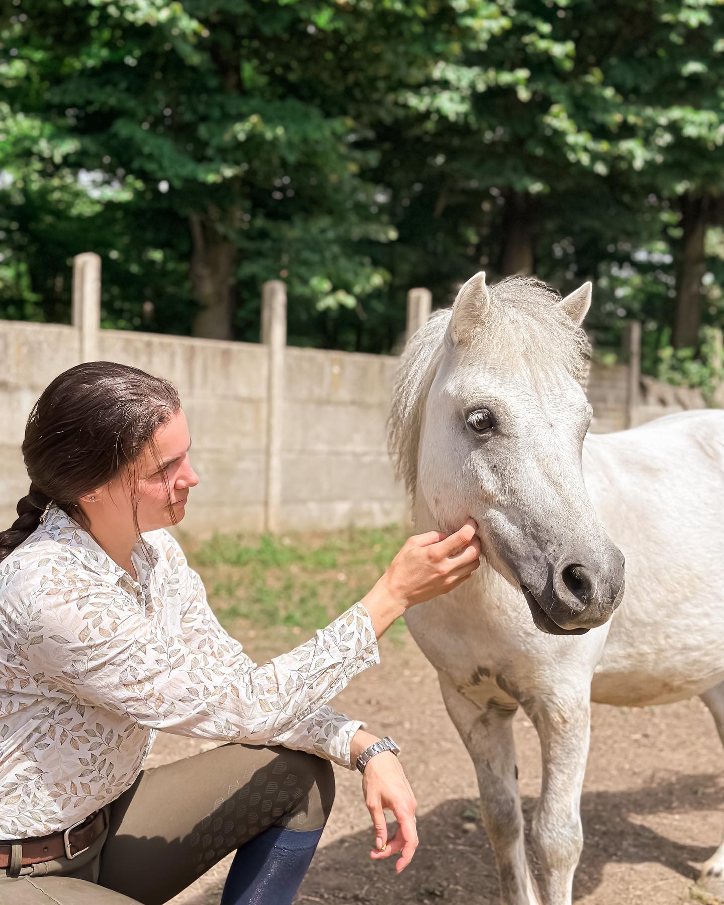 Equus Academy - 🌟 Introducing our latest superstar...
