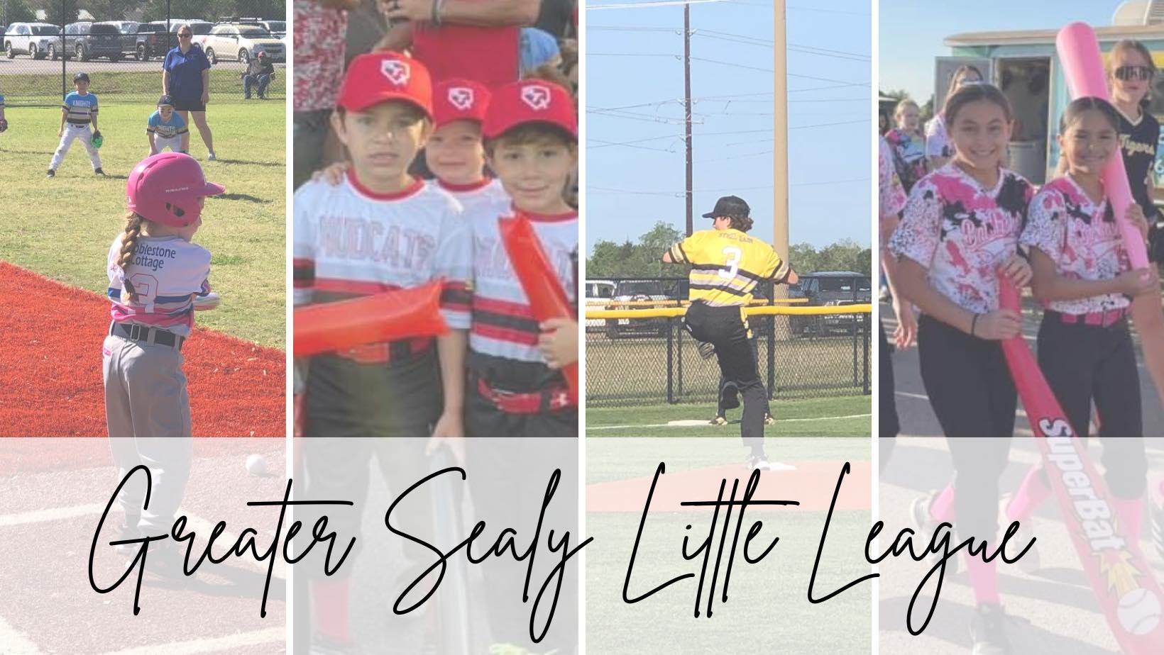 🐯🖤💛 SEALY TIGER... - Sealy High School Project Graduation | Facebook