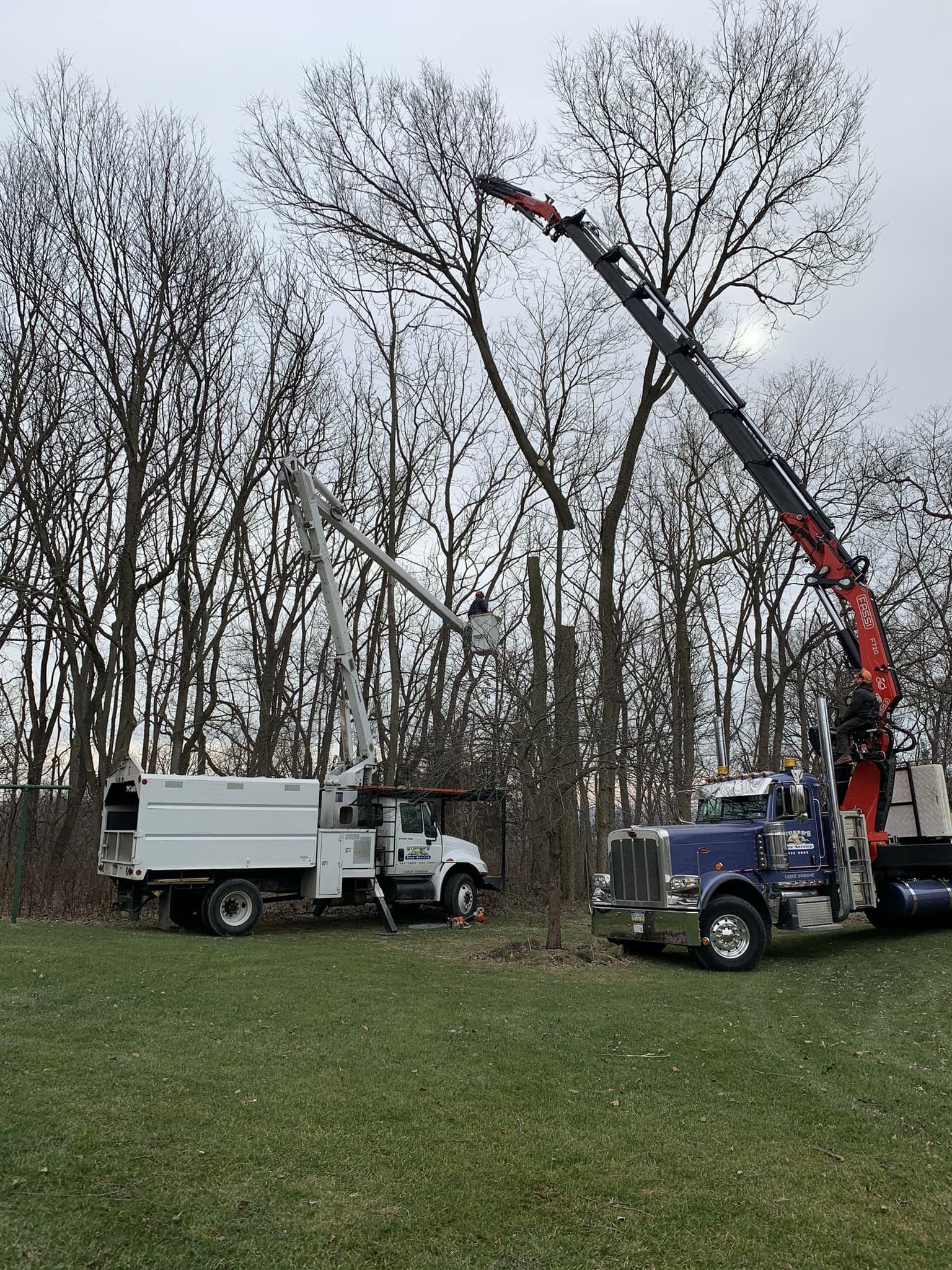Stoner's Tree Service | Elizabethtown PA
