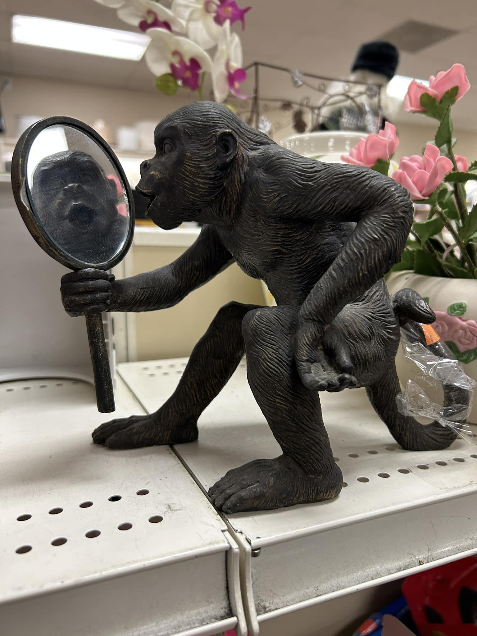 Found this Gonga monkey that sucks his thumb at my local GW today